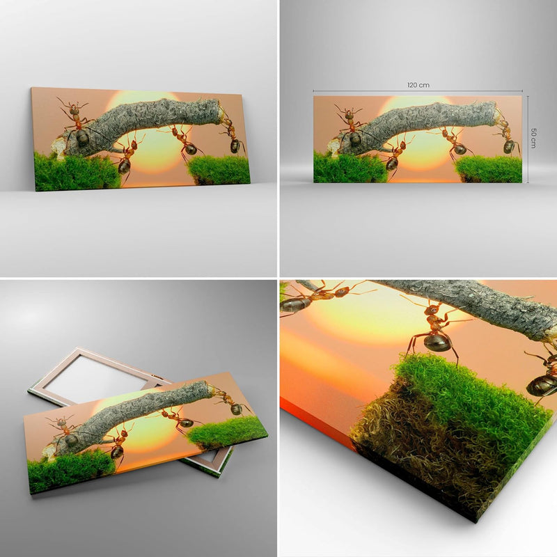 Wandbilder Dekoration Wohnzimmer Tiere Ameisen Brücke Natur Panorama Bilder auf Leinwand 120x50cm Le