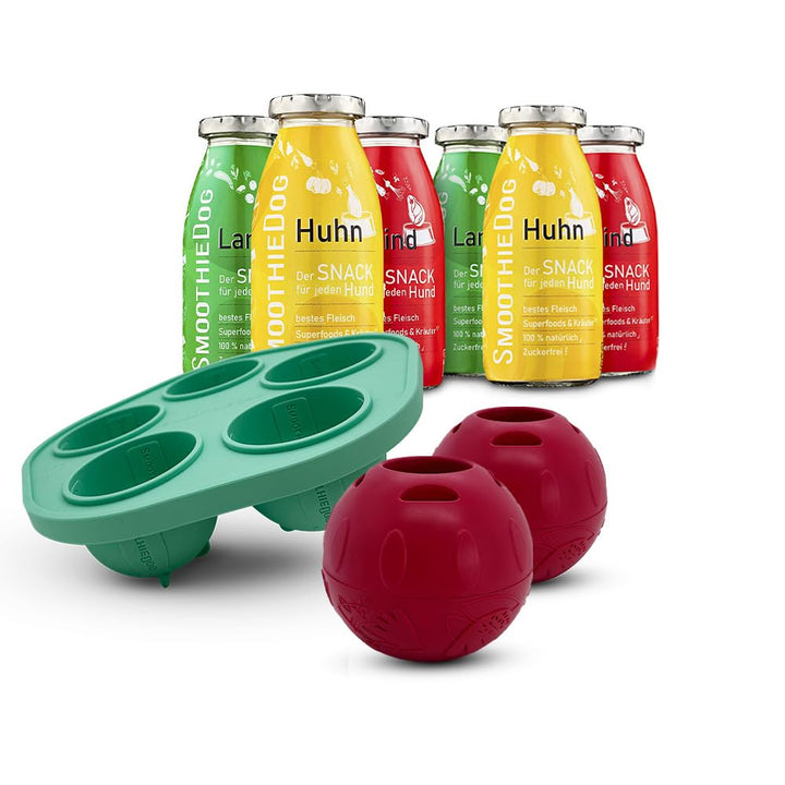 SmoothieDog Schleckball-Set + 1 Schleckball Hundesmoothie 6er Mix Klassik (250ml) - Schleckball für