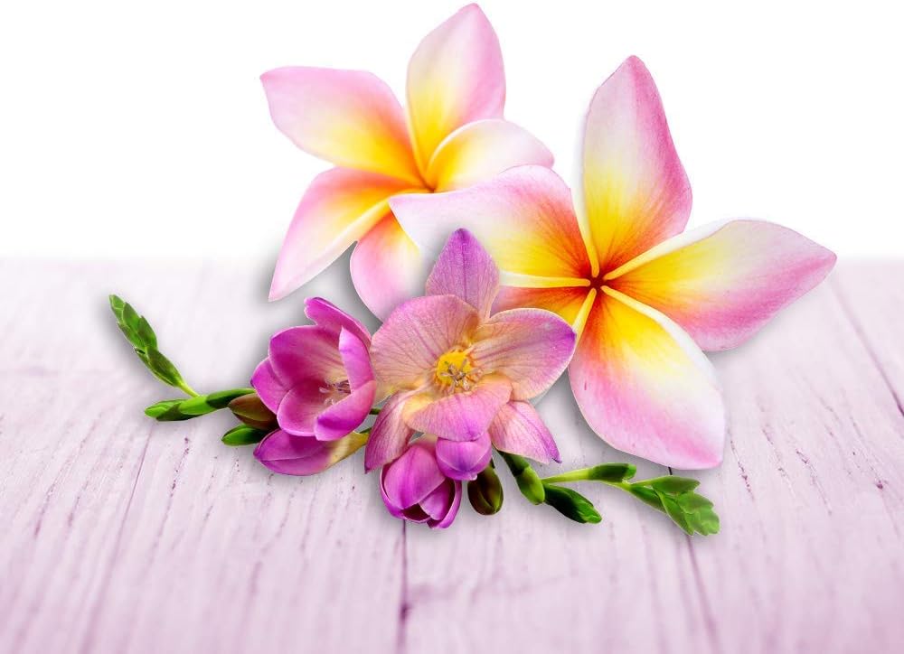 Air Wick Wohlfühl-Duftkerze im Glas – Duft: Blumenwiese – Enthält natürliche ätherische Öle – 6 x Du