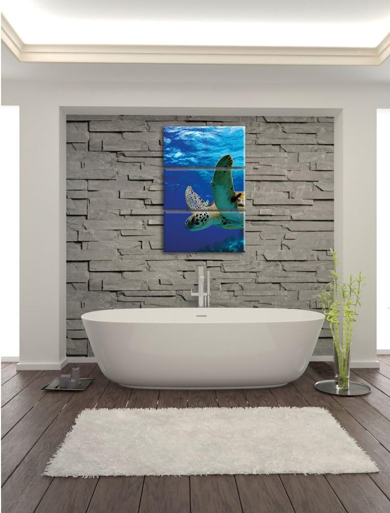 Pixxprint Schildkröte im Riff als Leinwandbild/Grösse: 3 Teilig (120x80) cm/Wandbild/Kunstdruck/fert