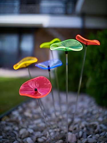 Cazador-del-sol ® - das Original | Lucille | 6 Stück | geschwungener Sonnenstrauss kunterbunt | Durc