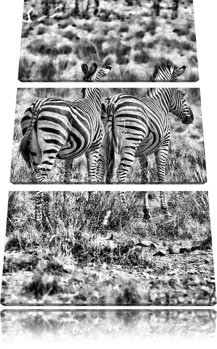 Pixxprint Zebraherde in Savanne / 3-Teilig/Gesamtmass 120cm Leinwandbild bespannt auf Holzrahmen/Wan