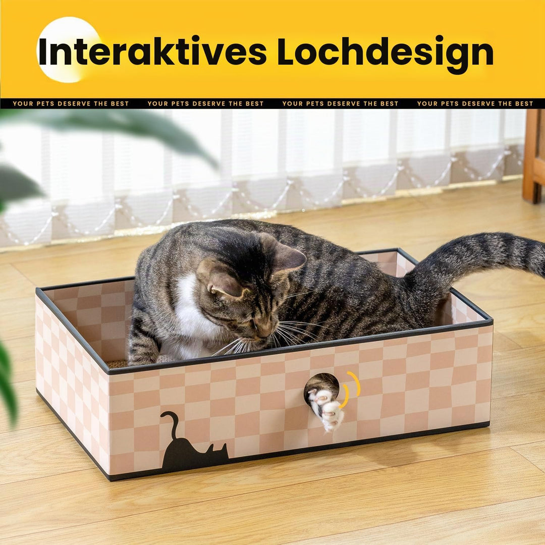Conlun 5er-Pack Kratzbrett Katze mit Box, Grosses Beidseitiges Design, Interaktive Öffnungen, Sauber