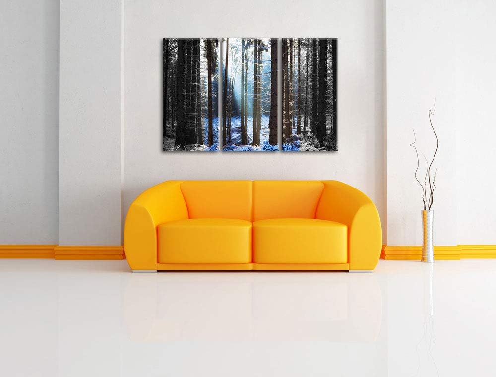 Pixxprint Sonne Winterwald als Leinwandbild | Grösse: 3 Teilig (120x80) | Wandbild| Kunstdruck | fer