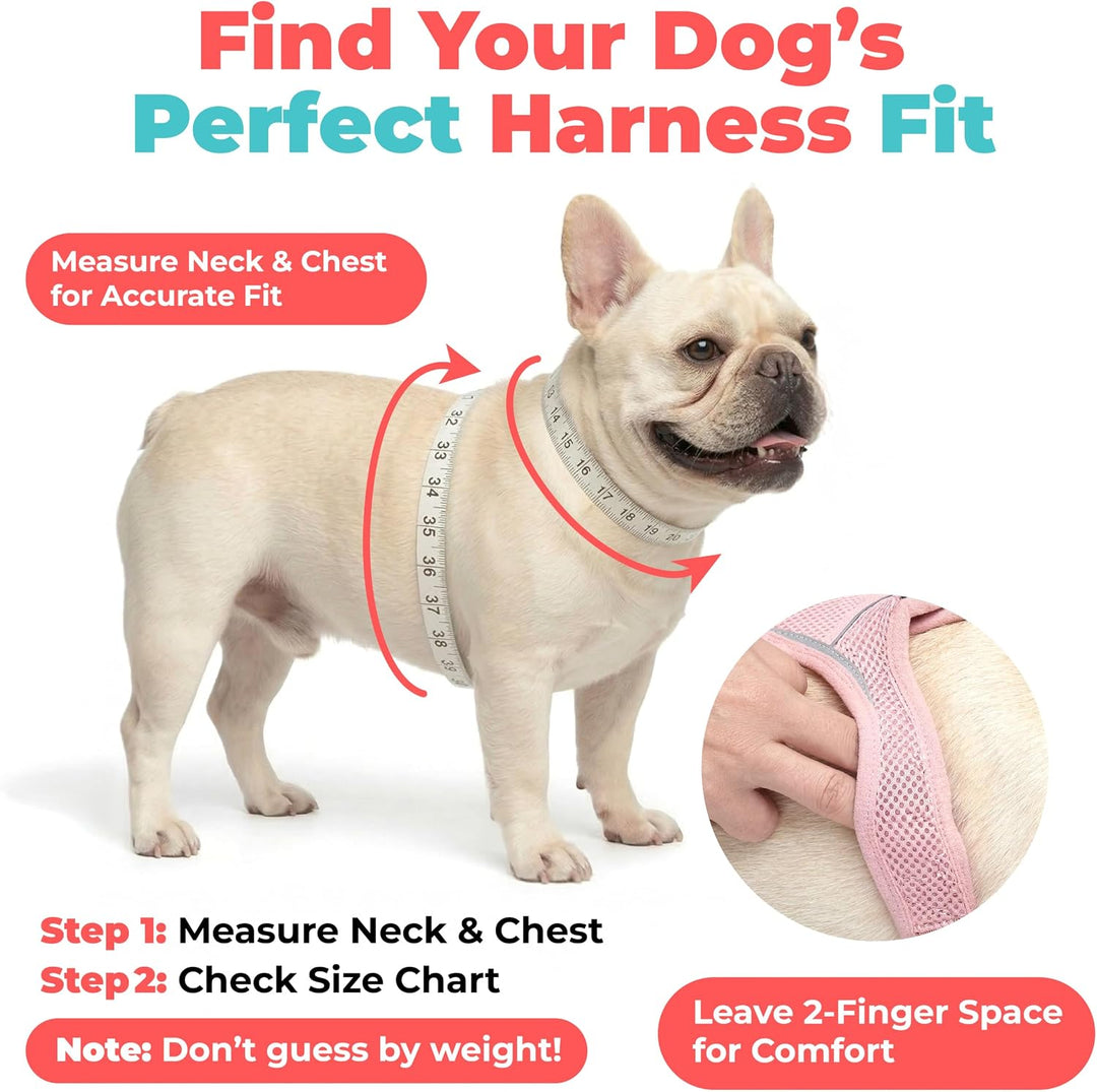Best Pet Supplies Voyager Step-In Air Hundegeschirr - Allwetter-Mesh-Geschirr für kleine und mittelg