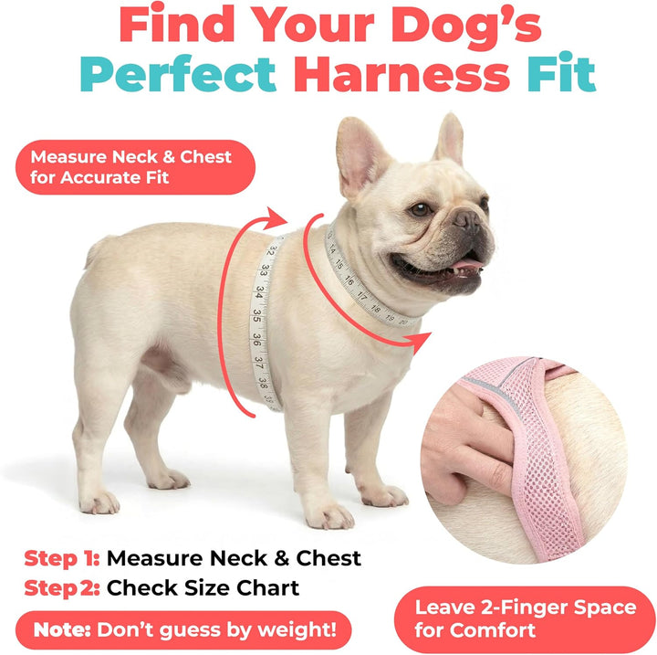 Best Pet Supplies Voyager Step-In Air Hundegeschirr - Allwetter-Mesh-Geschirr für kleine und mittelg