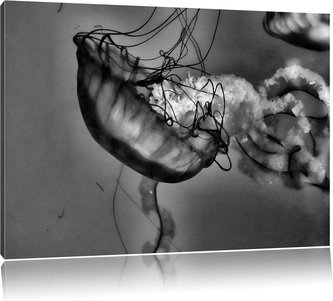 Pixxprint Monocrome, anmutige Qualle im Wasser, Format: 100x70 auf Leinwand, 100x70