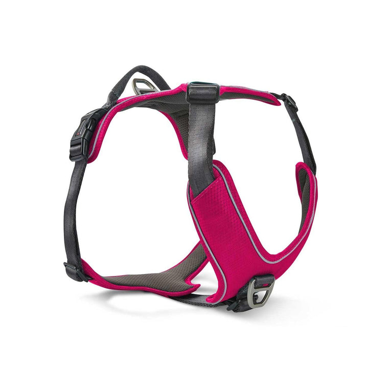 WOLTERS Geschirr Active Pro Comfort, Grösse:80-95 cm, Farbe:Magenta/anthrazit 80 - 95 cm magenta/ant