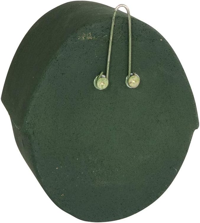 Vivara Nistkasten Alicante Woodstone - Grün - Halboffen - 22,5 x 26 x 16 cm - Holzbeton