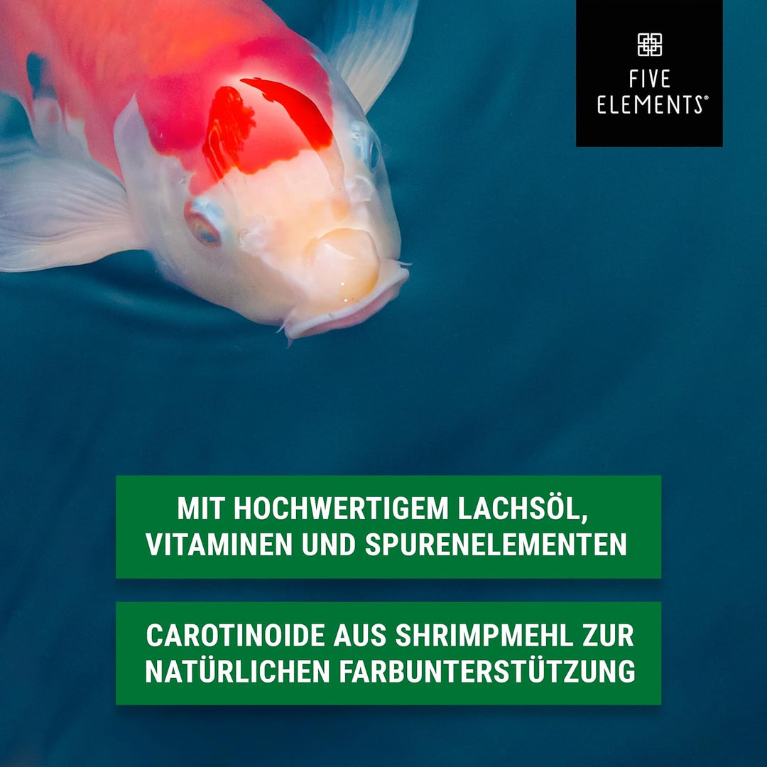 FIVE ELEMENTS Koi Allround Plus | 8,4 kg | hochwertiges Herbst-Futter für Koi | Lachsöl | Kurkuma zu