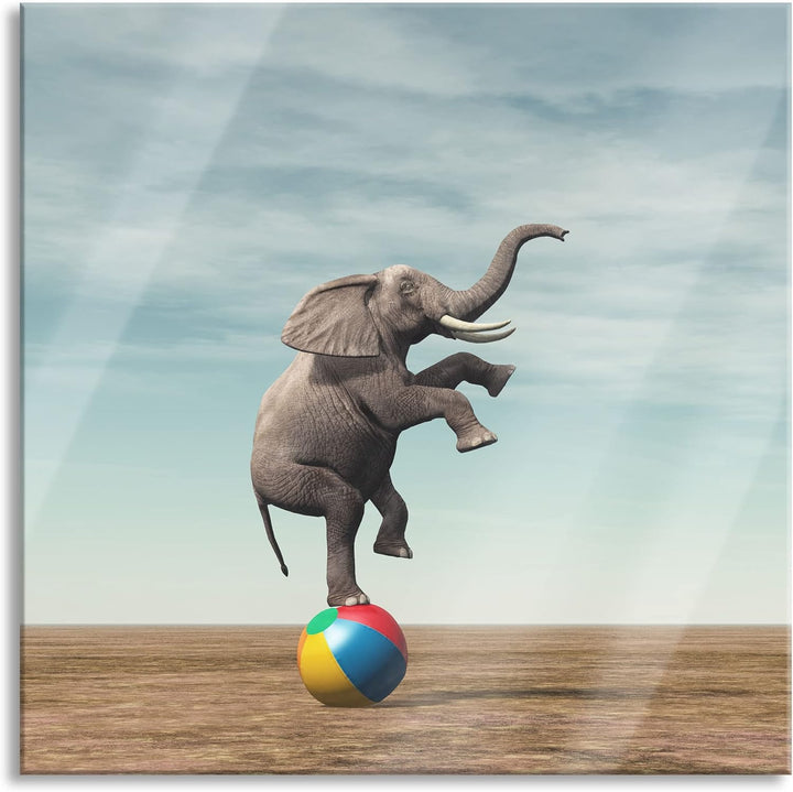 Pixxprint Glasbild | Wandbild auf Echtglas | Elefant in der Wüste balanciert auf Ball | 50x50 cm | i