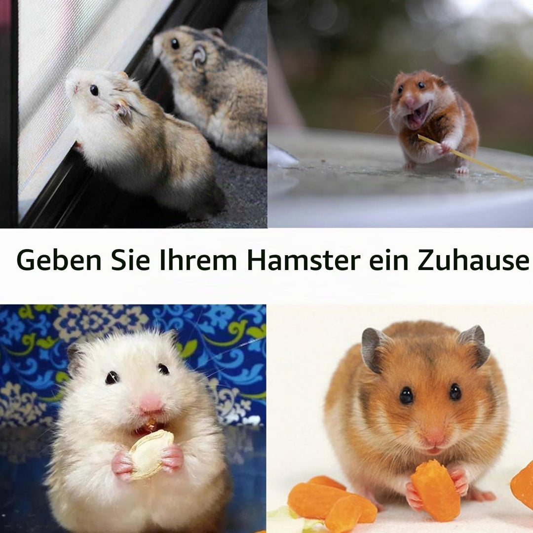Hamster Haus Bett mit Aufhängeöse für Hamster, Chinchillas, Meerschweinchen &amp; Kleintiere (Grün A), G