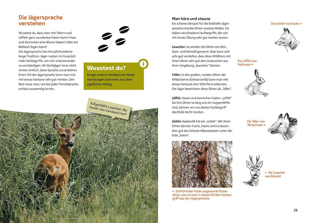 Das Jagdbuch für Kids, Taschenbuch