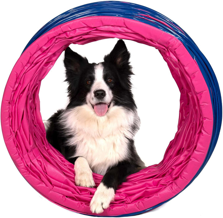 Callieway® Dog Agility Tunnel Profi Hunde Tunnel Agility Gerät (Stützsandsäcke bereits inklusive) (5