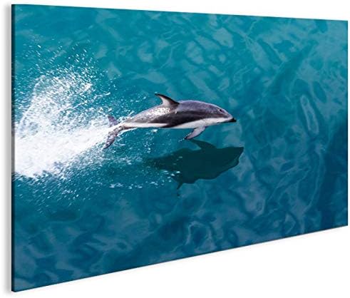 islandburner Bild Bilder auf Leinwand Delphin V2 Delfin 1p XXL Poster Leinwandbild Wandbild Dekoarti