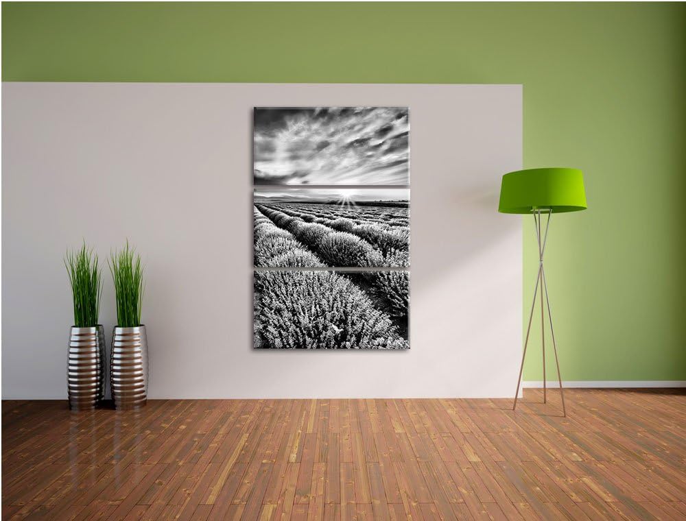 Pixxprint Monocrome, Traumhafte Lavendel Provence 3-Teiler Leinwandbild 120x80 Bild auf Leinwand