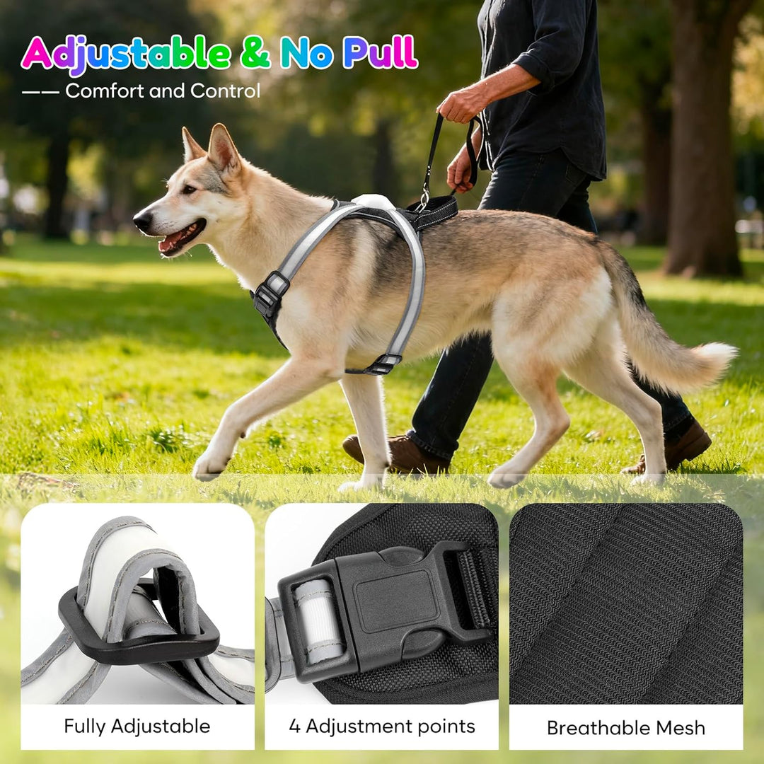 LED Hundegeschirr Leuchtend, Multicolor Reflektierendes Leuchthundegeschirr für Nacht, USB-C Wiedera