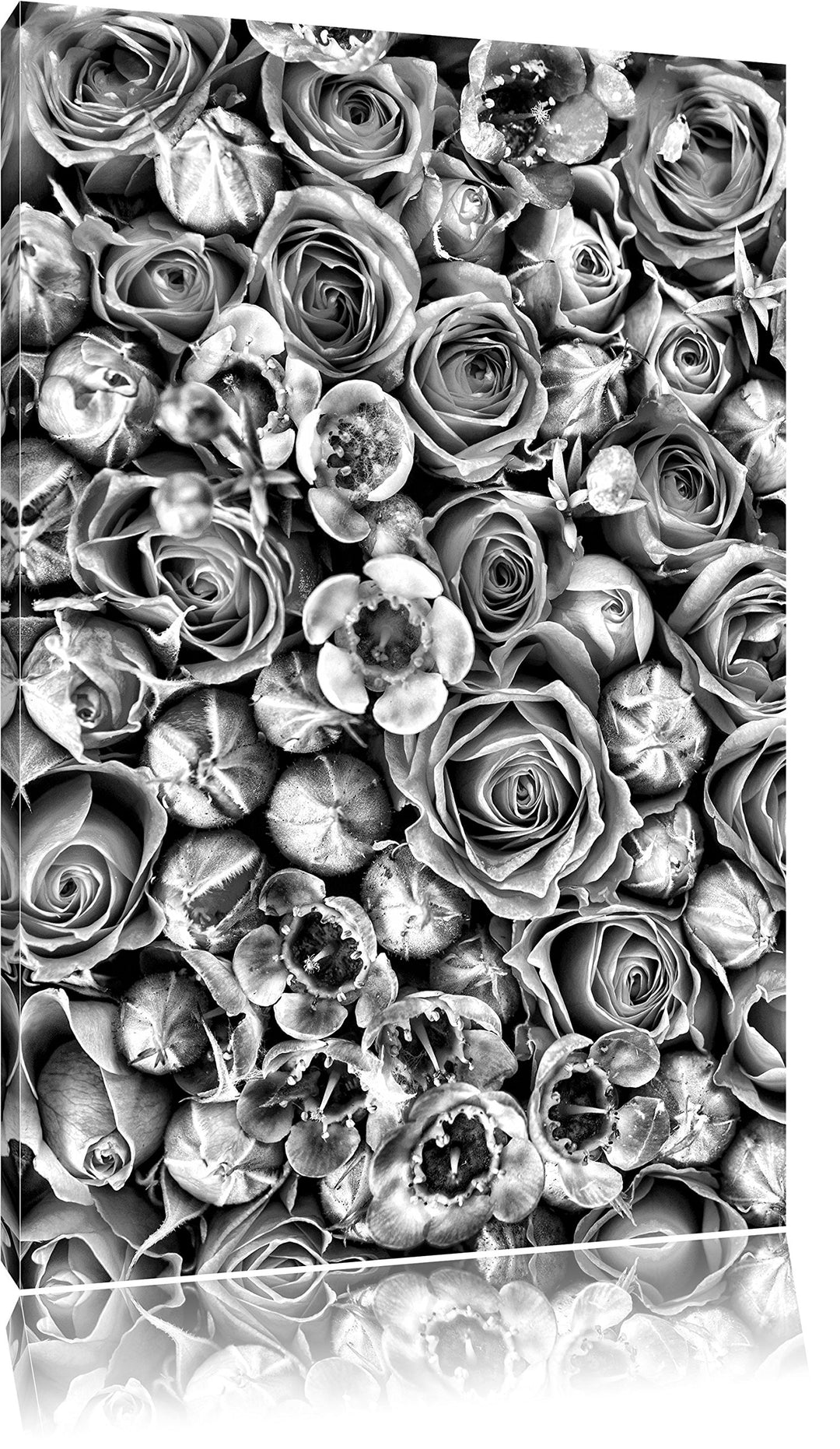 Pixxprint Rosa Rote Roten als Leinwandbild/Grösse: 100x70 / Wandbild/Kunstdruck/fertig bespannt, 100