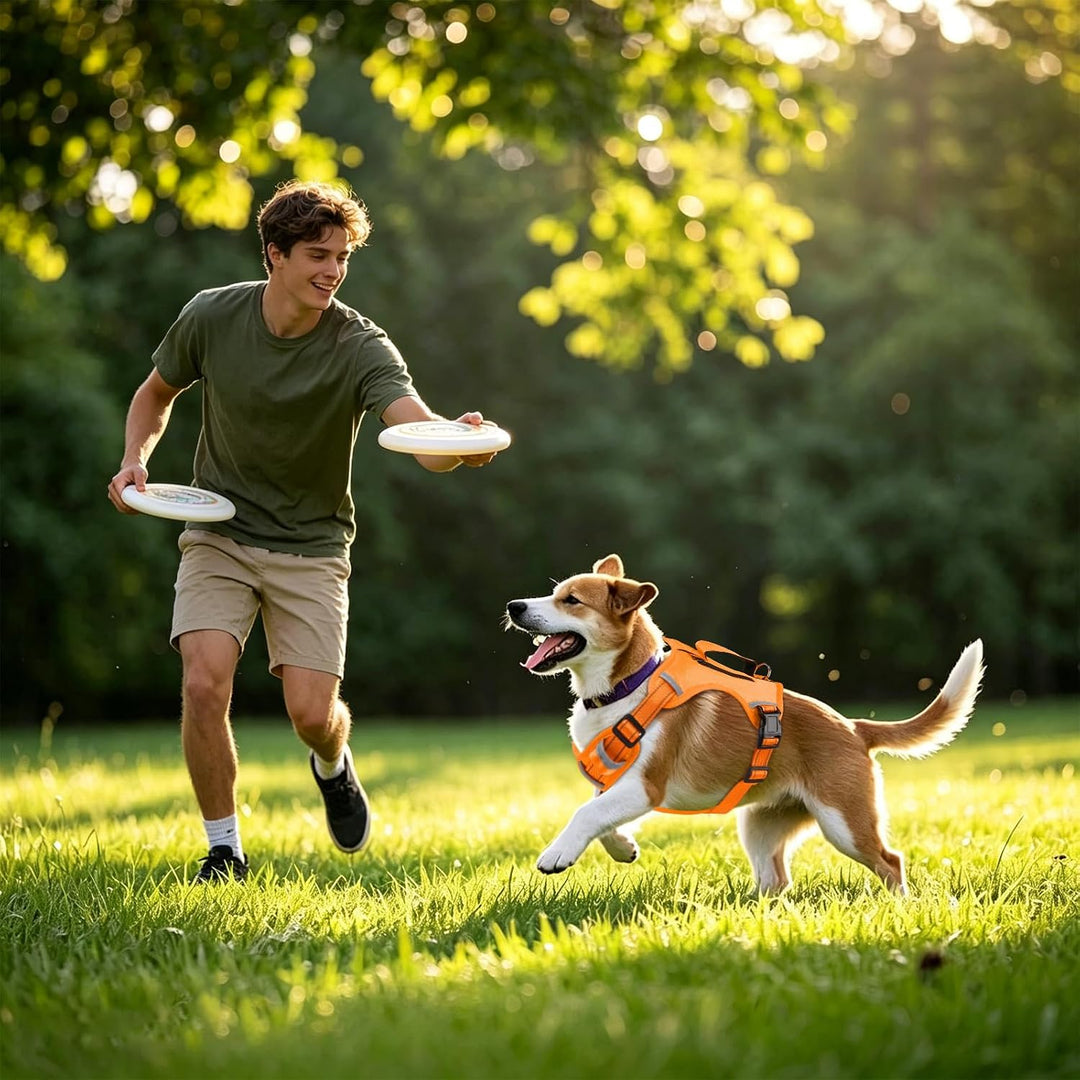 Leichtes verstellbares Hundegeschirr mit Reflektoren,4-Fach verstellbar | für aktive mittelgrosse Hu