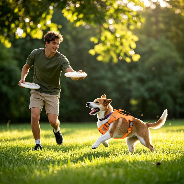 Leichtes verstellbares Hundegeschirr mit Reflektoren,4-Fach verstellbar | für aktive mittelgrosse Hu