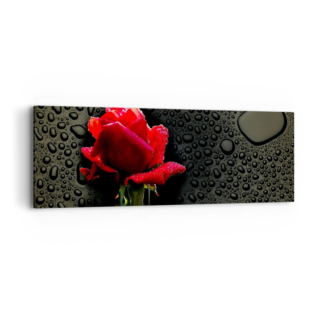 Panorama Bilder auf Leinwand Blume rote rose wasser tau Leinwandbild 90x30cm Wandbilder Dekoration W