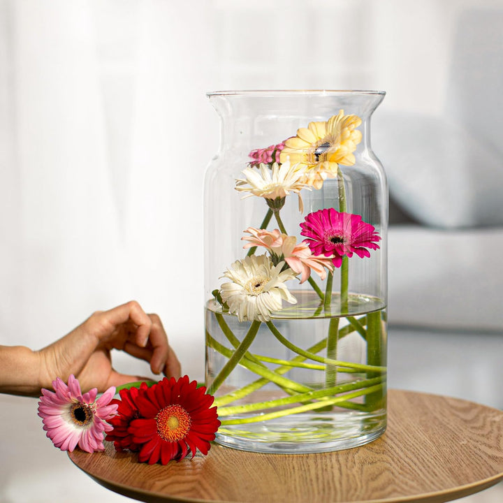 TREND FOR HOME Grosse Glasvase Hoch 29.5 cm Blumenvase Gross Bodenvase Glas Grosse Vase Amaryllis Va
