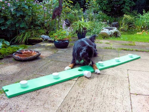 Schnüffelspass Supernasen-Set für Hunde (grosse und kleine) Hundetraining, Obedience, Hundesport, Do