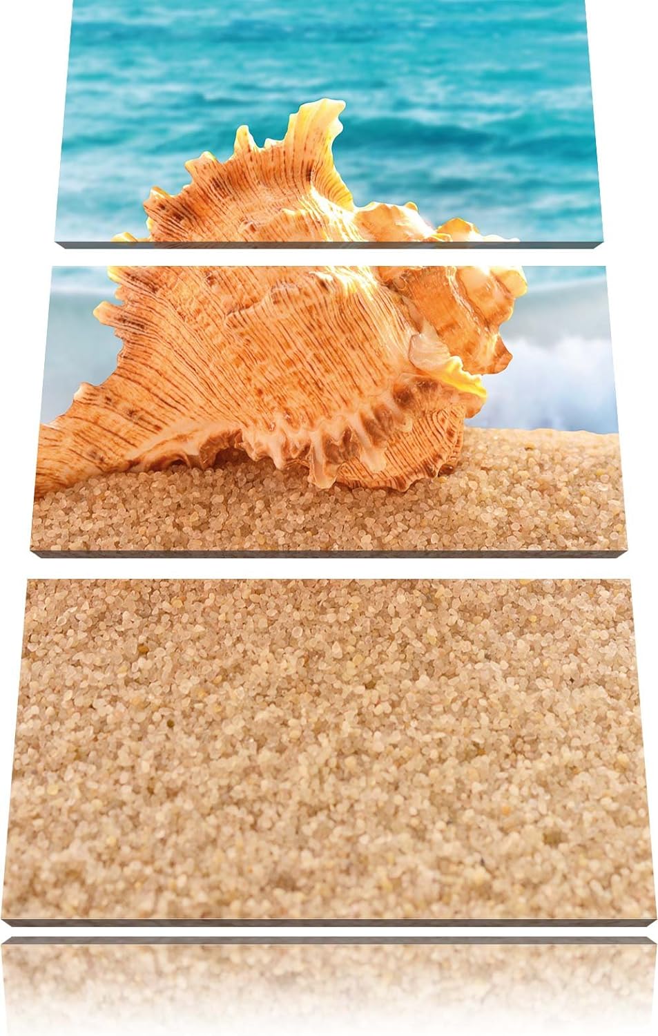 Pixxprint Muschel am Strand 3-Teiler Leinwandbild 120x80 Bild auf Leinwand