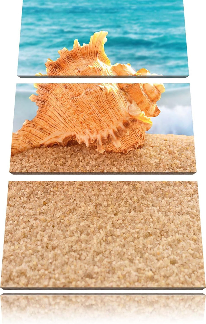 Pixxprint Muschel am Strand 3-Teiler Leinwandbild 120x80 Bild auf Leinwand