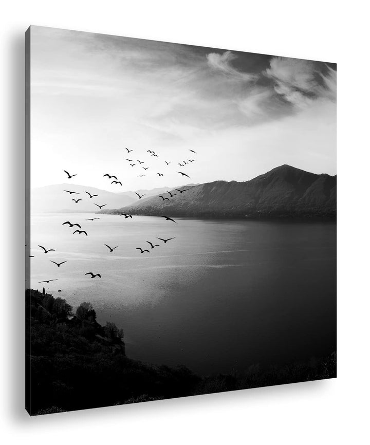 deyoli traumhaufter Sonnenaufgang am Meer Effekt: Schwarz&amp;Weiss Format: 60x60 als Leinwandbild, Moti