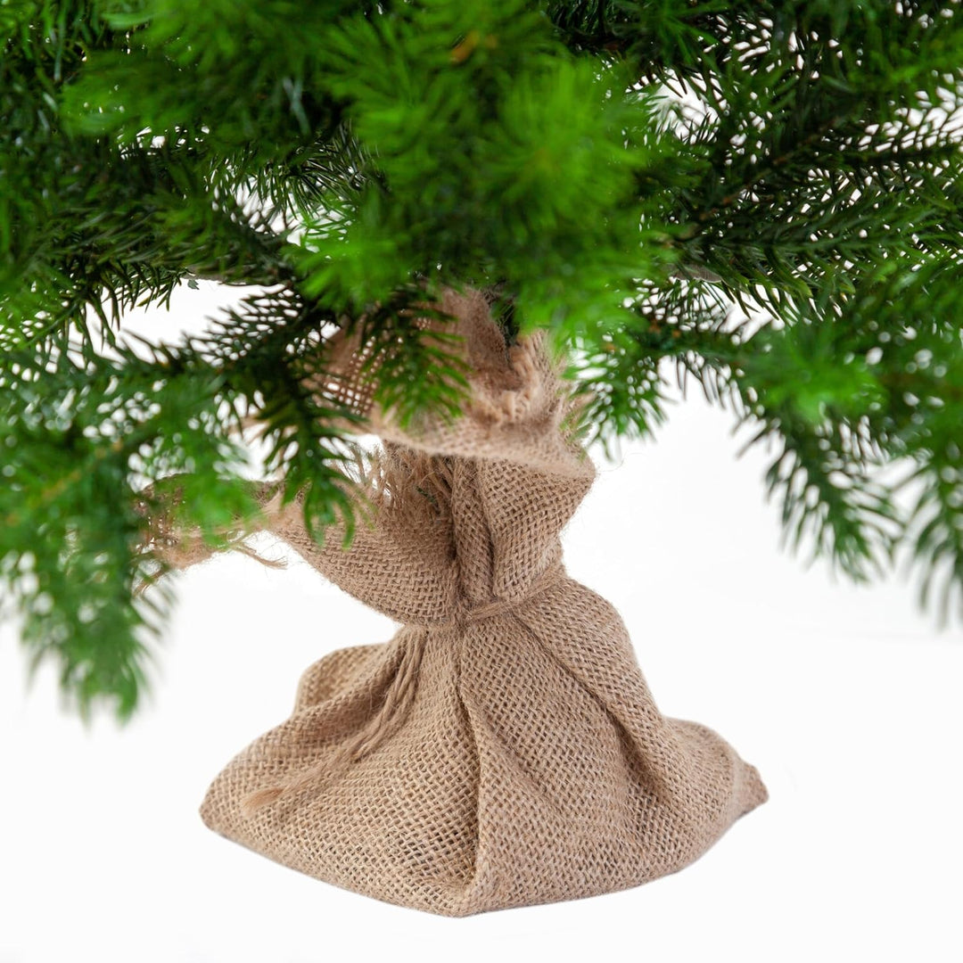 eveXmas 65cm Künstlicher Weihnachtsbaum, Tannenbaum ALTAIR Klassik Grün, 62 Zweige 100% PE-Spitzen,