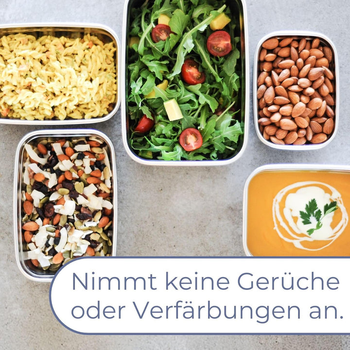 LocknLock Edelstahl Vorratsdose mit Deckel, 1,9 L, 225 × 160 × 85 mm, BPA-Frei, Spülmaschinengeeigne