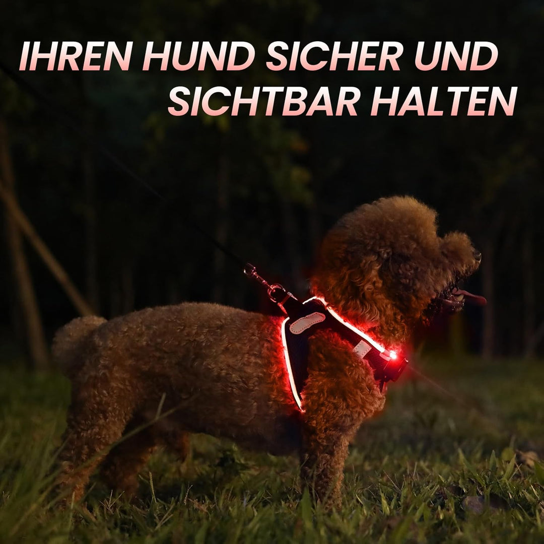 PcEoTllar Hundegeschirr Leuchtend USB Aufladbar Reflektierendes Leuchtgeschirr LED Leucht Brustgesch