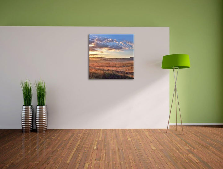 Getreidefeld im Abendlicht, Format: 70x70 auf Leinwand, XXL riesige Bilder fertig gerahmt mit Keilra