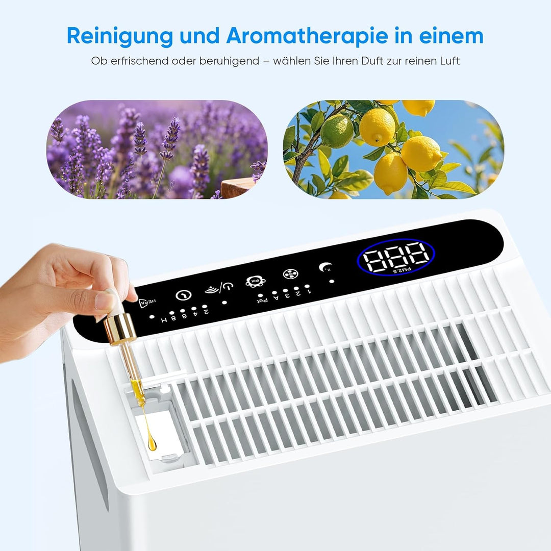 Luftreiniger Allergiker für Wohnung, HEPA H14 Filter mit waschbarem Vorfilter gegen Zigarettenrauch,