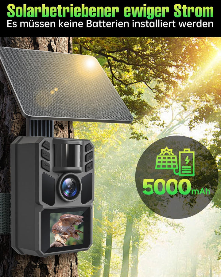 4K 64MP Wildkamera Solar, Eingebaute 5000mAh Lithium-Batterie, 0.2s Auslöser Bewegungsaktiviert, Wil