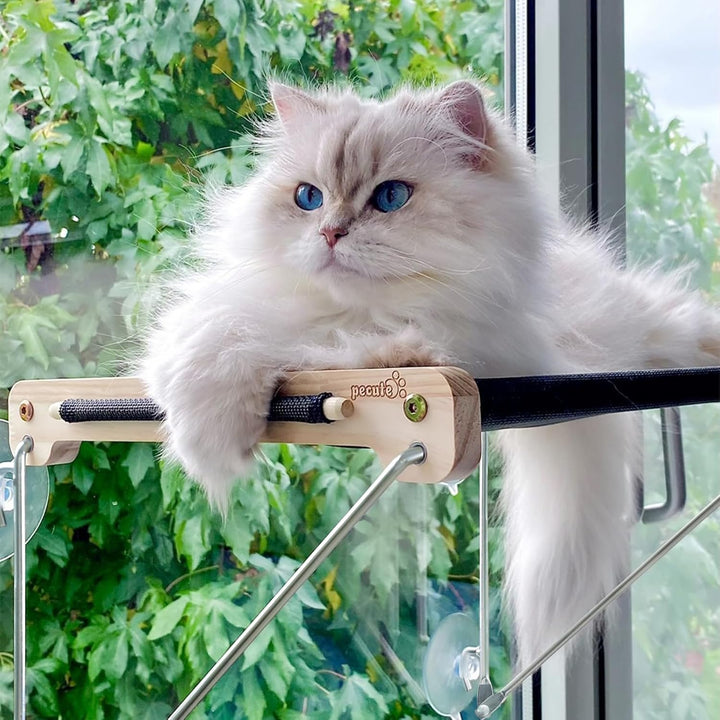 Katzen Fensterplätze (bis 15 kg), Katzen Fensterliege, Katzenhängematte für Katzen mit Massivholz un
