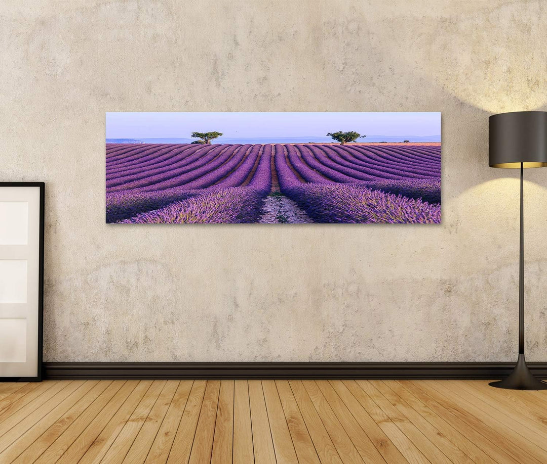 islandburner Bild auf Leinwand Lavendelfeld Sommerlandschaft Valensole Provence Frankreich Bilder Wa