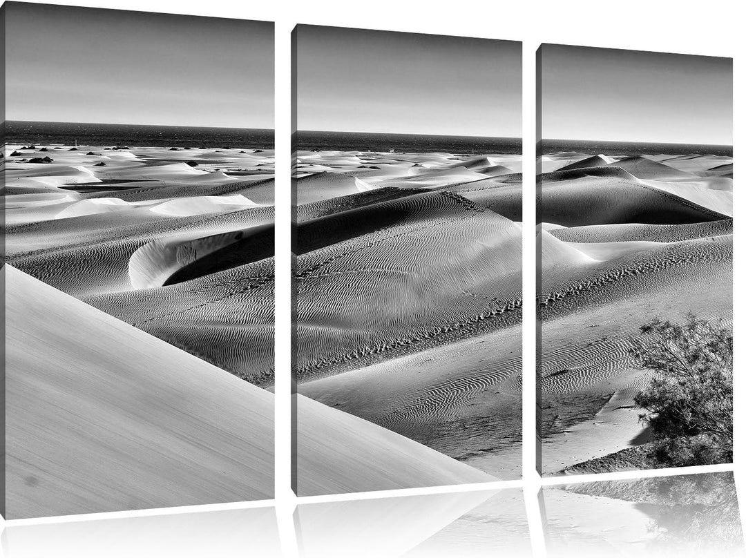 Pixxprint Monocrome, Wüste am Meer 3-Teiler Leinwandbild 120x80 Bild auf Leinwand