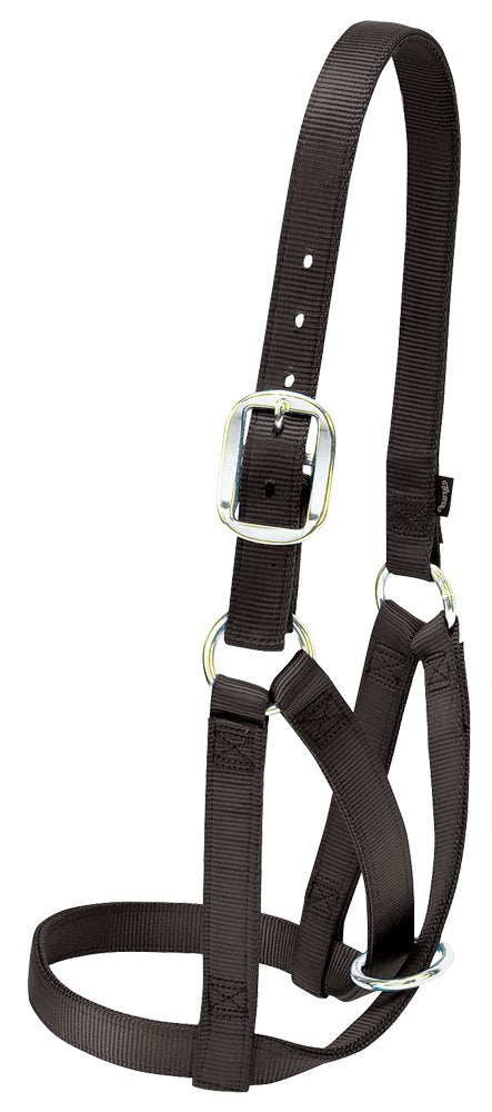 Weaver Leather Halfter Kuh Scheune S Schwarz, S Schwarz