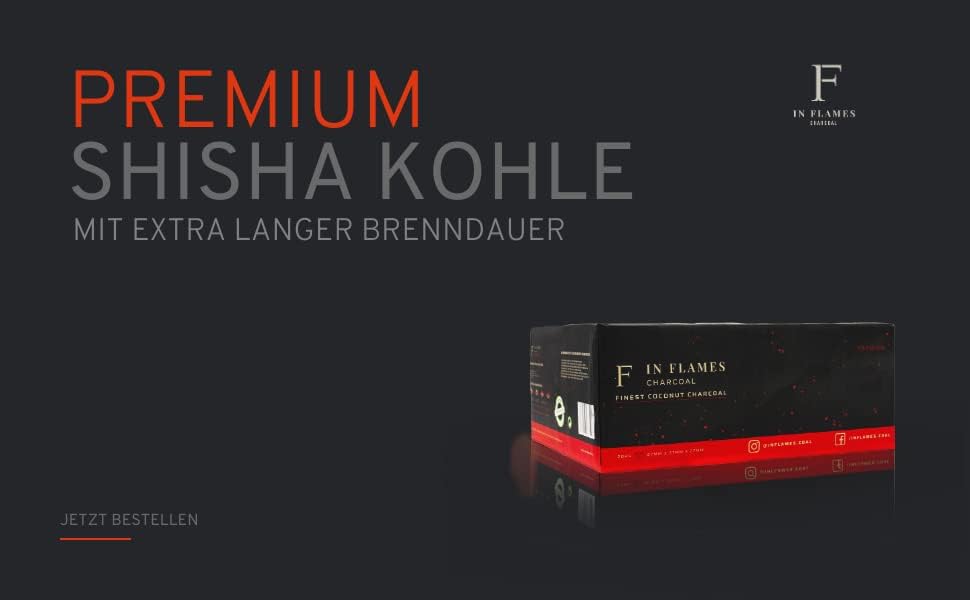 In Flames Kohle 20 kg - mit extra Langer Brenndauer - Hochwertige 27er Kokosnuss Briketts - einzeln