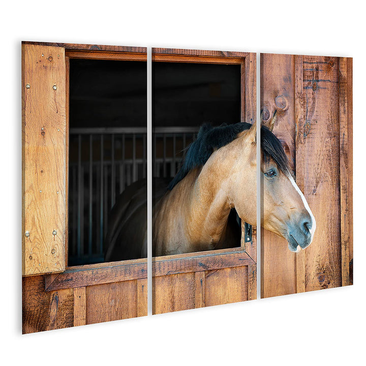 islandburner Bild auf Leinwand Braunes Pferd Schaut Neugierig Aus Fenster Kinderzimmer Bilder Wandbi