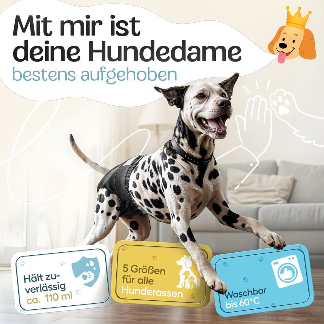 HUND IST KÖNIG Hundewindeln für Hündinnen (3 Stück) - Hochabsorbierende Läufigkeitshose für Hündinne