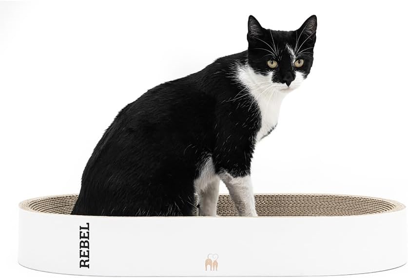 Petrebels Kratzpappe Oliver 61, Katzen Kratzbrett aus sehr stabilem Karton, Kratzkarton 63 x 35 x 10