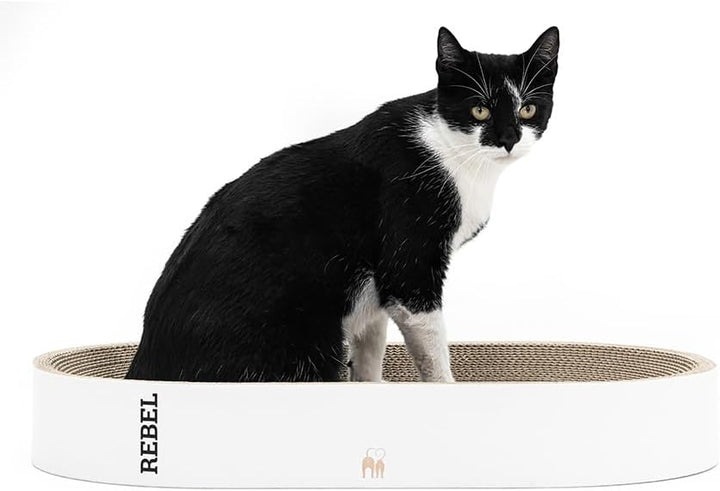 Petrebels Kratzpappe Oliver 61, Katzen Kratzbrett aus sehr stabilem Karton, Kratzkarton 63 x 35 x 10