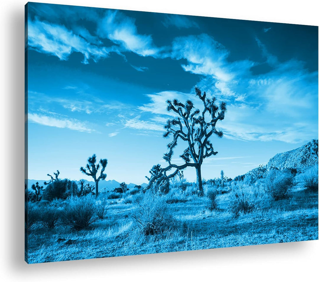 deyoli beeindrucken Wüstenlandschaft Format 80x60 Effekt: Monocrome Blau als Leinwandbild, Motiv fer
