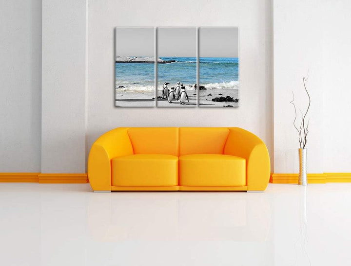 lustige Pinguine am Strand schwarz/weiss 3-Teiler Leinwandbild 120x80 Bild auf Leinwand, XXL riesige