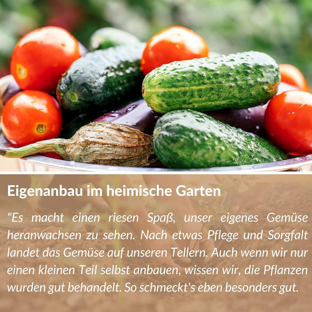 100 Pflanzstäbe Bambus Holz 90 cm lang 6 mm Dm. I Rankhilfe für Pflanzen I Bambusstäbe als Pflanzens