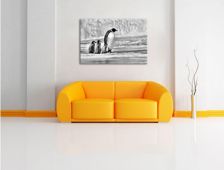 Pixxprint Monocrome, Kaiserpinguine im Schnee, Format: 100x70 auf Leinwand, riesige Bilder fertig ge
