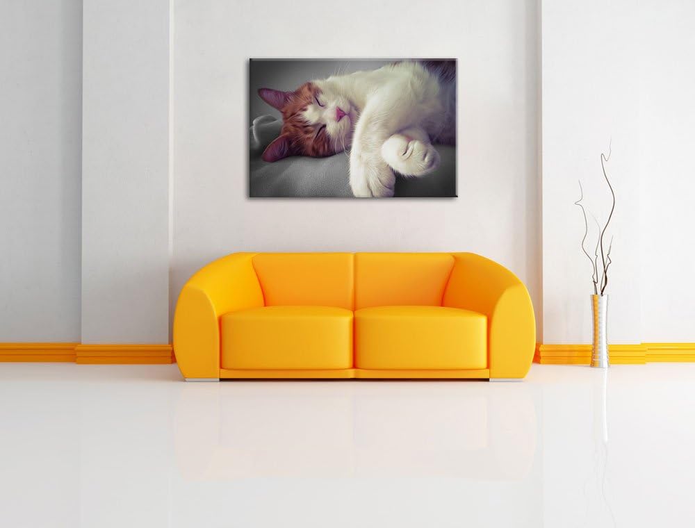 schlafende Katze auf Decke schwarz/weiss Format: 100x70 auf Leinwand, XXL riesige Bilder fertig gera